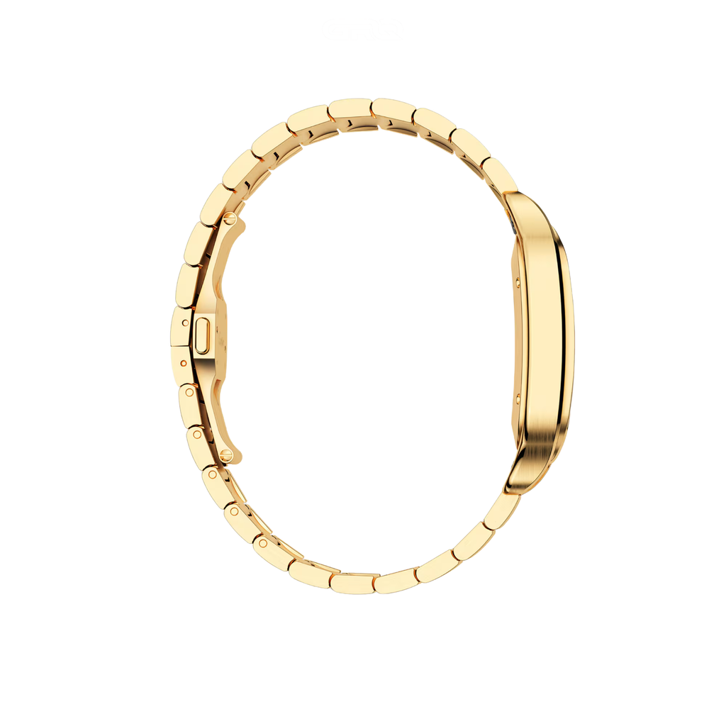 Cartier Santos de Golden Steel Blue Dial Watch – Blue & Dial