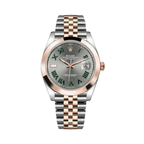 Rolex Datejust 41 Gold Steel 126301 Watch