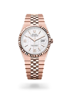 Rolex Land-Dweller 40 Gold M127335 Watch